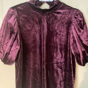 NWT Velvet top with romantic sleeves